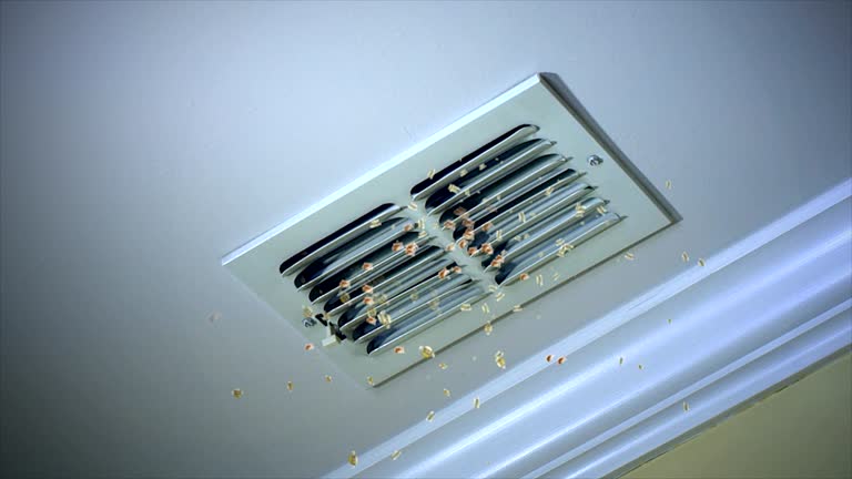 Air Duct Mold Removal in Montgomery, PA